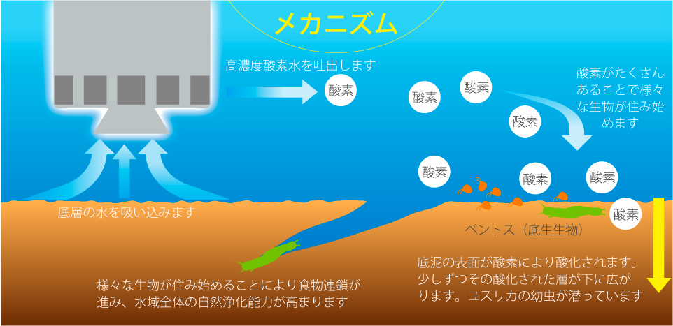 メカニズム